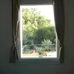 Spartiventohome * Chia