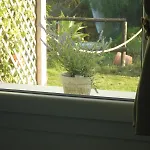 Spartiventohome *