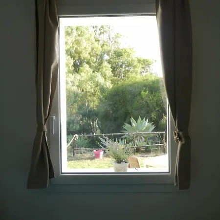 Spartiventohome * شيا
